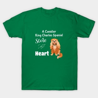 My Ruby Cavalier King Charles Spaniel Stole My Heart T-Shirt